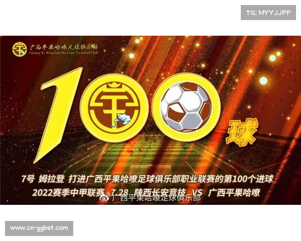 广西平果退出职业联赛，准入审核标准是否过严引讨论